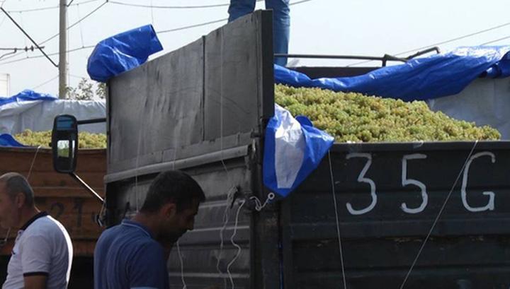 Վերջապես պիտի մարդը արժեք ստանա իր տանջանքի դիմաց․ խաղողագործների ակցիան