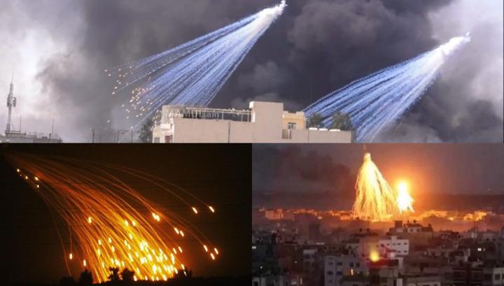 Էկոցիդի վտանգ՝ Արցախում. հայկական կազմակերպությունները դիմել են բնապահպանական կառույցներին