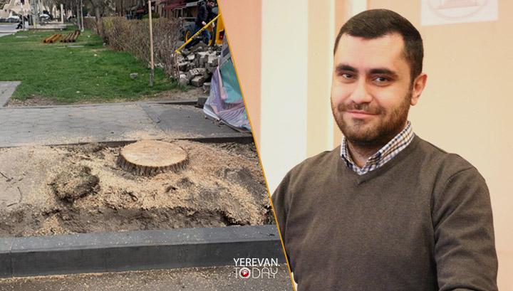 Գիտնականներին հղում անելով ծառերի զանգվածային հատումները տեղին չեն․ ԳԱԱ ինստիտուտ