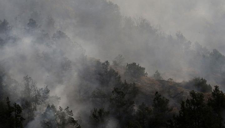 Պատերազմի հետևանքով կորցրել ենք անտառների գրեթե 50 տոկոսը․ Արցախի ՏԿԵ նախարար