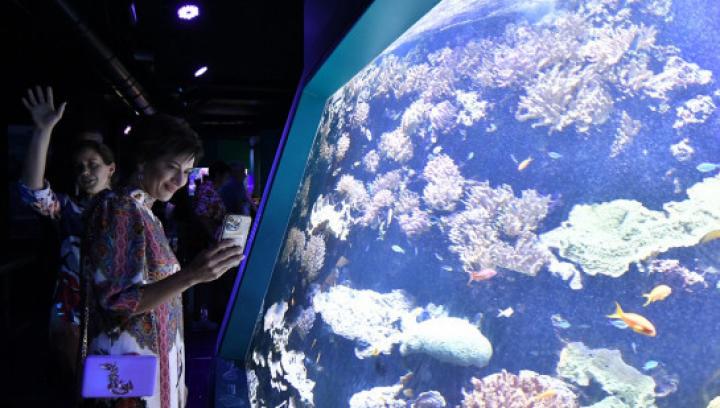 Փաշինյանը հայտարարում է, որ Բերձորն է հանձնում, Աննա Հակոբյանը շրջում է Մոնակոյում