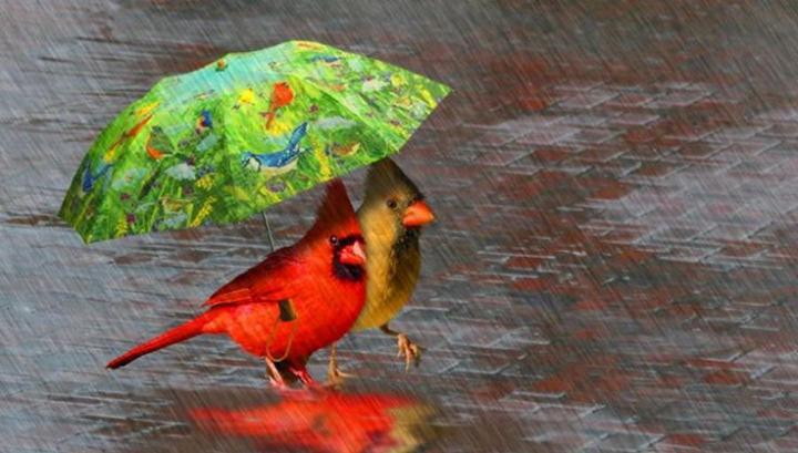 Օդի ջերմաստիճանը կնվազի 7-10 աստիճանով