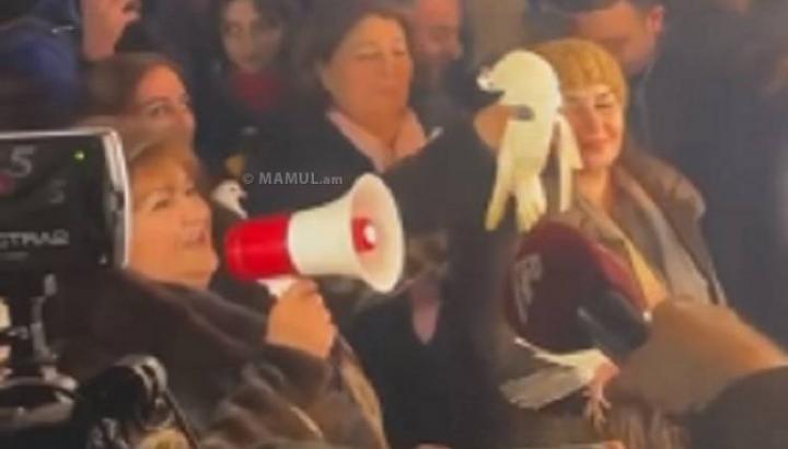 Ըստ՝ Թահիրա Մամեդովայի աղավնին չի սատկել, հոգնած էր