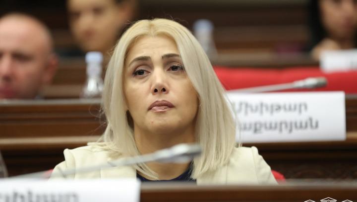 Կառավարությունը լավ չի պատկերացնում նոր պայմաններում իր անելիքը․ Էլինար Վարդանյան