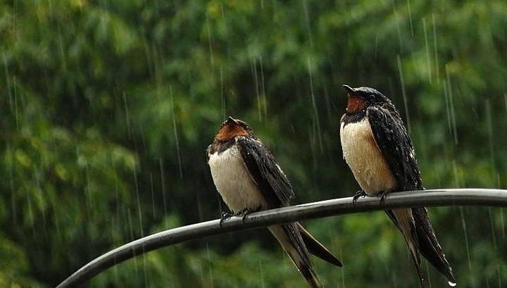 Ջերմաստիճանը կնվազի 3-5 աստիճանով