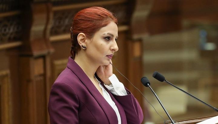 Իշխանական պատգամավորների դաժան ինքնախոստովանությունը. Անի Սամսոնյան