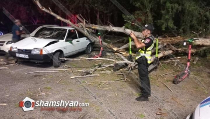 Արտակարգ դեպք Հրազդանի կիրճում. հաստաբուն ծառը արմատից պոկվել և տապալվել է