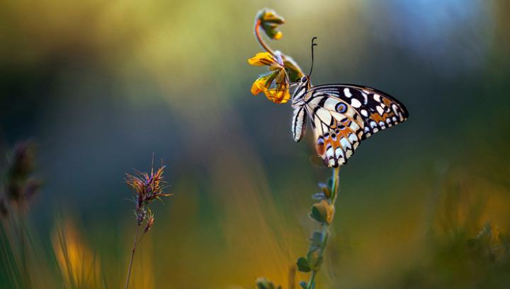Օդի ջերմաստիճանը հուլիսի 22-24-ը կնվազի 5-7 աստիճանով
