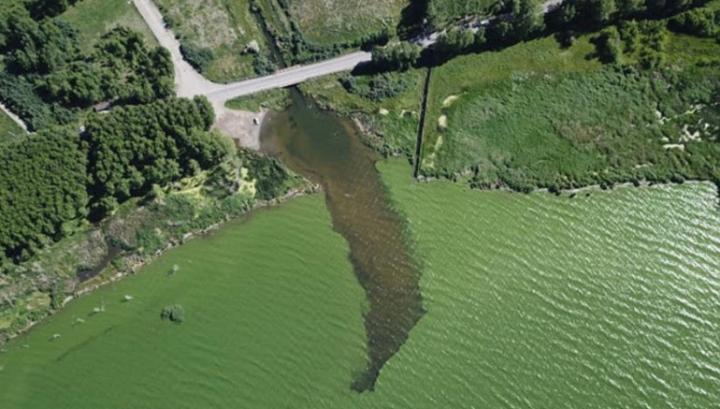 Ինչու՞ է կանաչում Սևանա լիճը․ ՇՄ նախարարությունը ներկայացրել է պատճառները