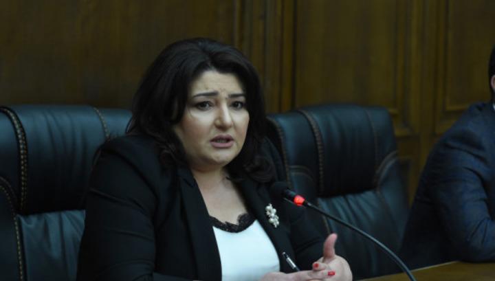 Իվետա Տոնոյանը երեխաներին օրգազմի մասին գրքեր բաժանելու միջադեպի հարցով դիմել է ԿԳՄՍ նախարարին