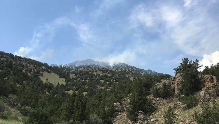 «Վարդավառի» տոնին «Խոսրովի անտառ» պետական արգելոցը փակ կլինի այցելությունների համար