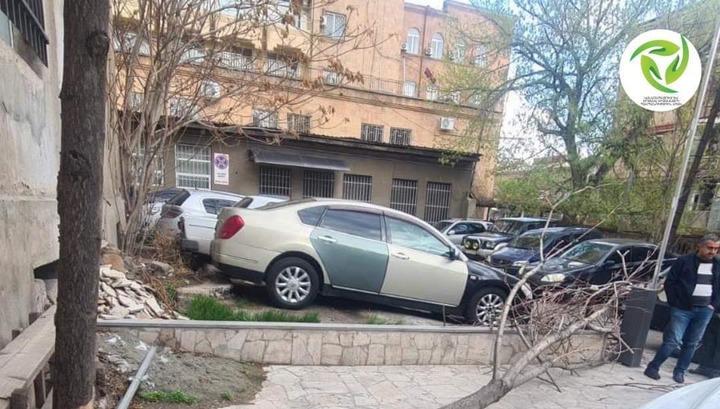 Քամու հետեւանքով մայրաքաղաքում ծառեր են տապալվել