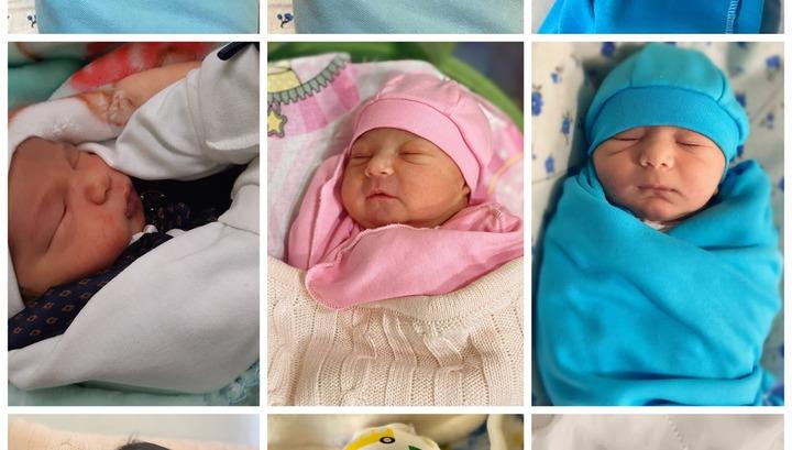 Պատերազմի առաջին օրերից մինչ օրս «Շենգավիթ» ԲԿ-ում ծնվել է 15 արցախցի փոքրիկ