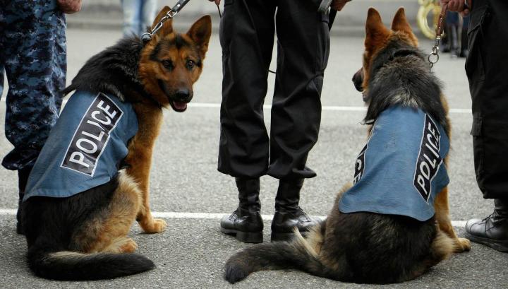 ՆԳՆ-ն կհամալրվի երիտասարդ և որակական հատկանիշներով օժտված շներով