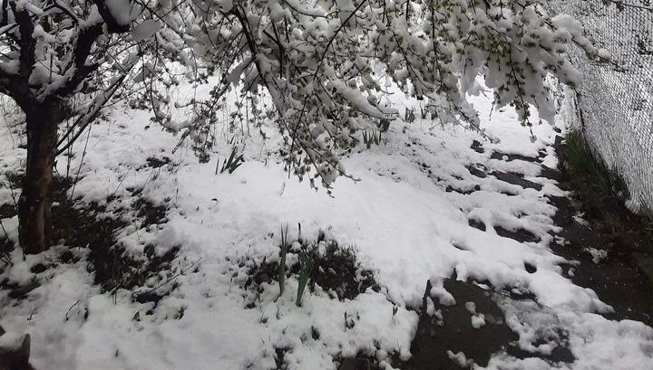 Գիշերը գրանցվել է զրոյից ցածր ջերմաստիճան