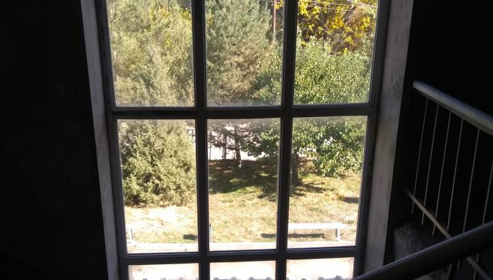 Հայաստանում մեկ օրով է պետք ապրել. վաղը չես իմանա ի՞նչ գլխիդ կգա․ Նարինե Կիրակոսյան