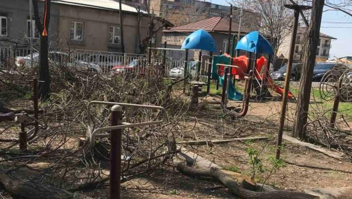 Արաբկիրի ղեկավարը կատարված ծառահատումներին միջամտելու և խոչընդոտելու հնարավորություն չի ունեցել. պարզաբանում