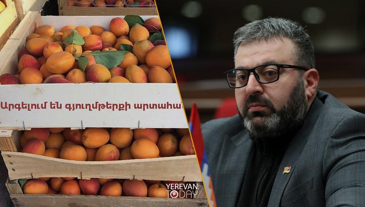 Հայկական կողմը խոչընդոտում է դեպի ՌԴ գյուղմթերքի արտահանումը․ պատգամավոր