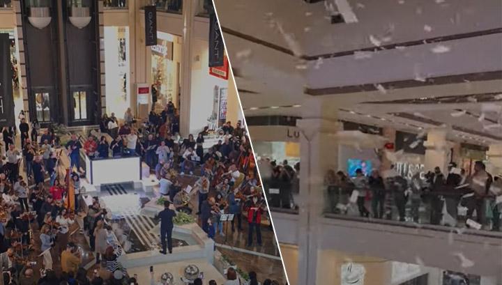 Աննախադեպ ֆլեշմոբ՝ Դալմա Գարդեն մոլում