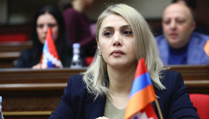 Վաղը ռեպրեսիան թակելու է յուրաքանչյուր «ես քաղաքականությամբ չեմ զբաղվում» ասողի դուռը. Էլինար Վարդանյան