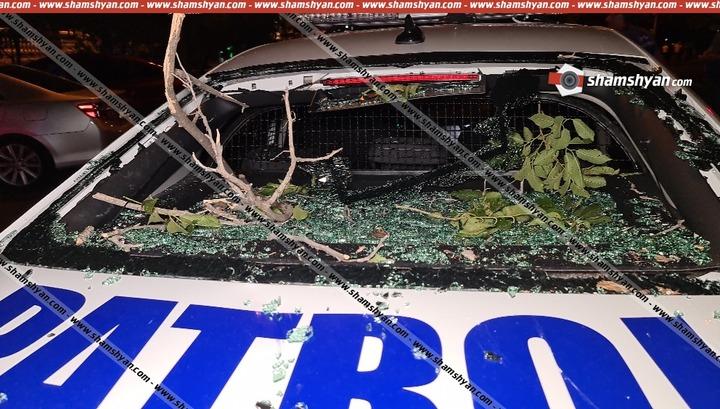 Հաստաբուն ծառը արմատից պոկվել և ընկել է պարեկային ծառայության ավտոմեքենայի վրա